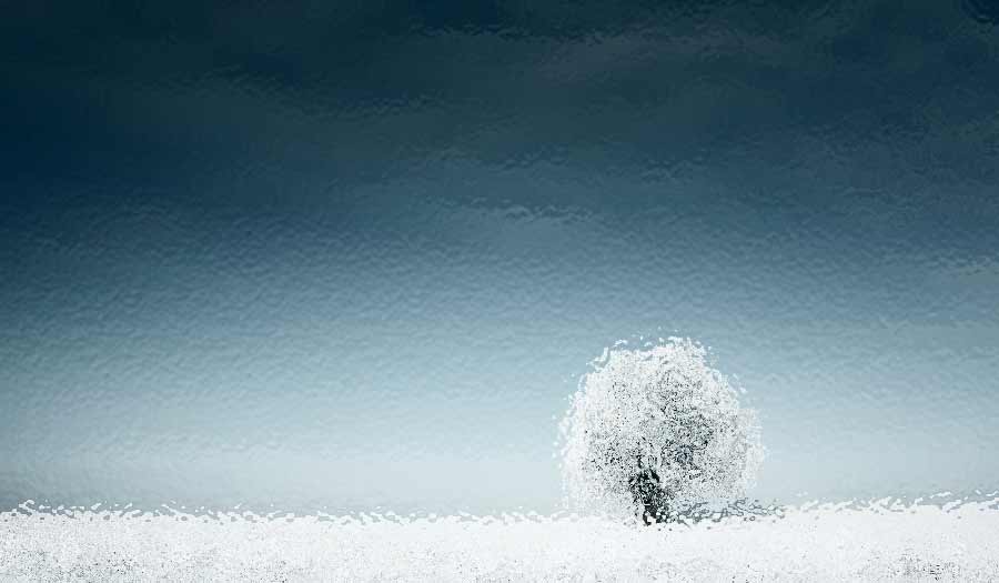 shutterstock_54440032